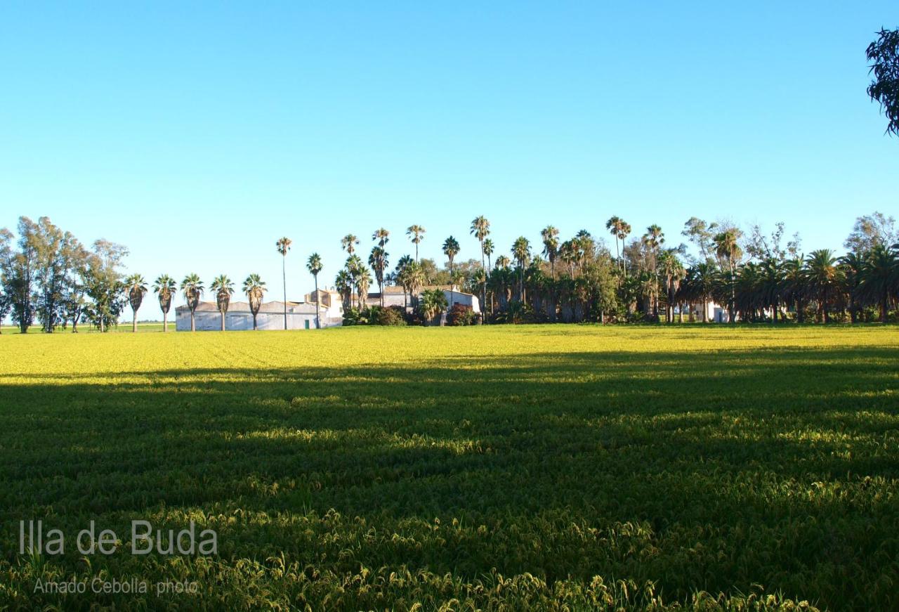 Paquita Loft Apartament *